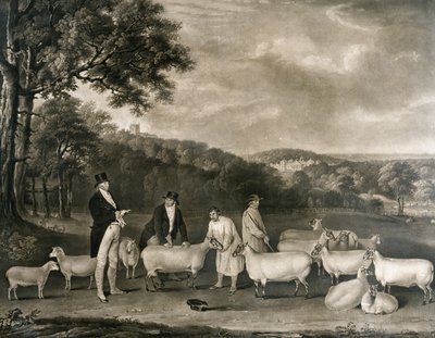 Portrait of Thomas William Coke inspecting South Down sheep with Mr Walton and the Holkham shepherds (engraved by William Ward, 1808) by Thomas Weaver